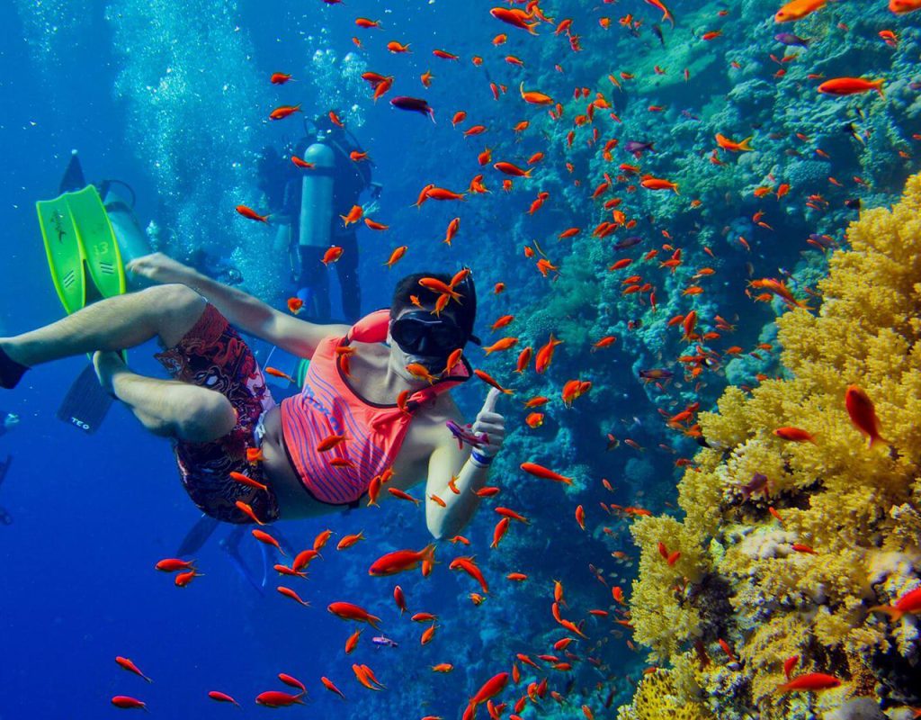 Safari Blue Tour, snorkeling with sea food lunch